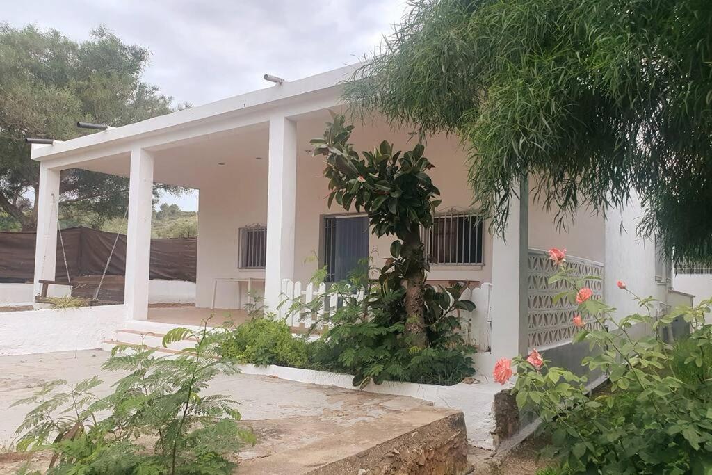 Casa Campo Con Piscina Y Barbacoa Para 6 Personas En Plena Naturaleza بيكاسينت المظهر الخارجي الصورة