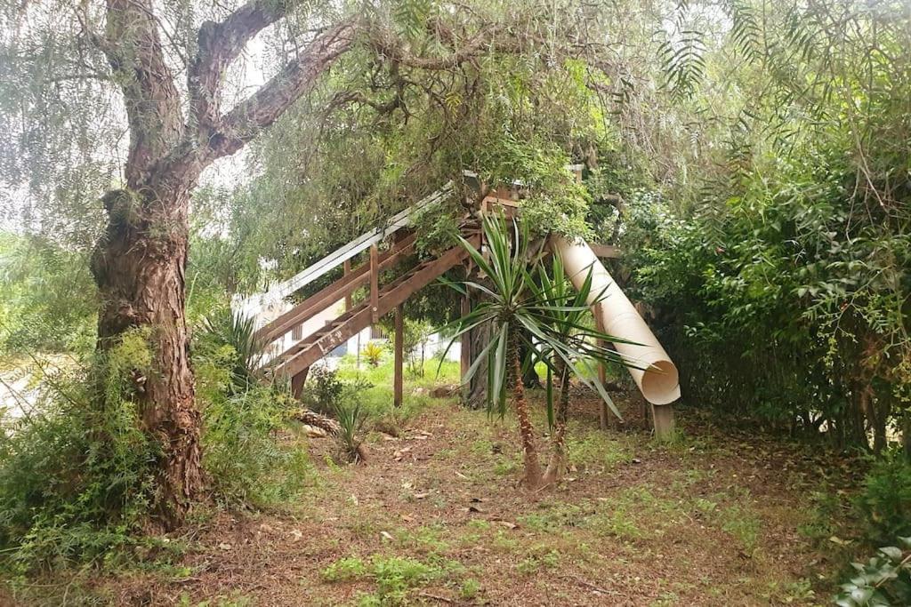 Casa Campo Con Piscina Y Barbacoa Para 6 Personas En Plena Naturaleza بيكاسينت المظهر الخارجي الصورة