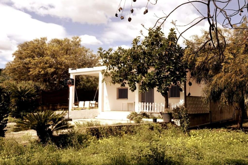 Casa Campo Con Piscina Y Barbacoa Para 6 Personas En Plena Naturaleza بيكاسينت المظهر الخارجي الصورة