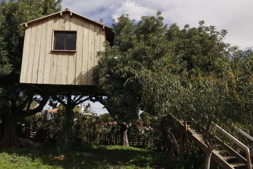 Casa Campo Con Piscina Y Barbacoa Para 6 Personas En Plena Naturaleza بيكاسينت المظهر الخارجي الصورة