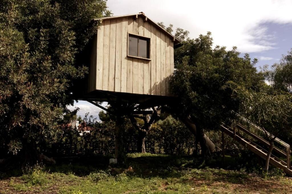Casa Campo Con Piscina Y Barbacoa Para 6 Personas En Plena Naturaleza بيكاسينت المظهر الخارجي الصورة