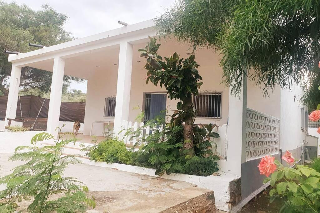 Casa Campo Con Piscina Y Barbacoa Para 6 Personas En Plena Naturaleza بيكاسينت المظهر الخارجي الصورة