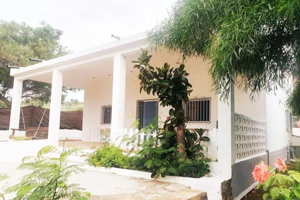 Casa Campo Con Piscina Y Barbacoa Para 6 Personas En Plena Naturaleza بيكاسينت المظهر الخارجي الصورة